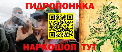 ПСИЛОЦИБИНОВЫЕ ГРИБЫ Ипатово