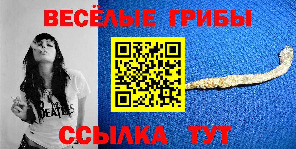 Майский  наркошоп  Вход с VPN  Псилоцибиновые грибы мицелий 
