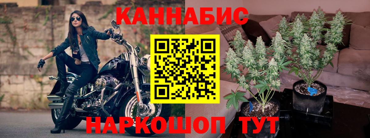 Конопля план Майский